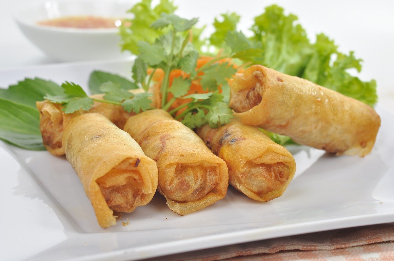 Chicken Vegetable Roll